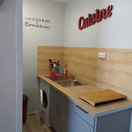 Restaure A 50 M De La Appartement