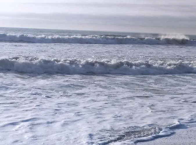 Restaure A 50 M De La Saint-Hilaire-de-Riez